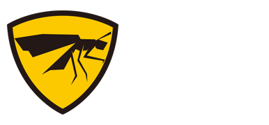 V站